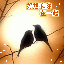82ef8245a87aee57.gif