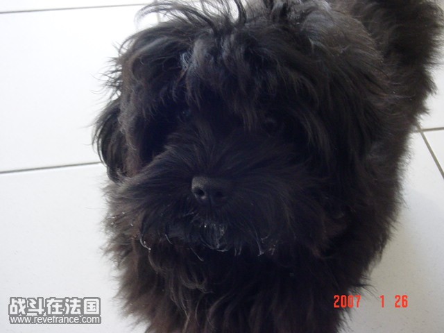 DSC00842.JPG