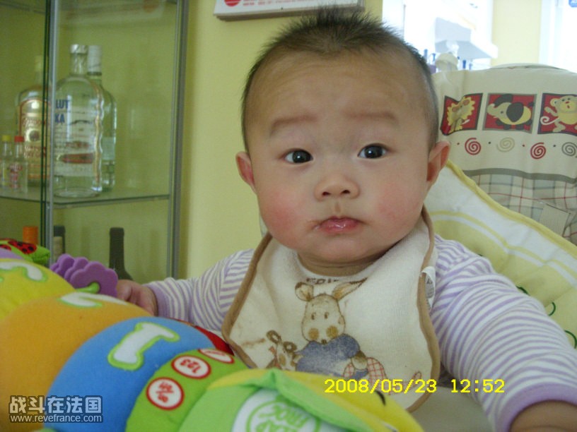 SN850485.JPG