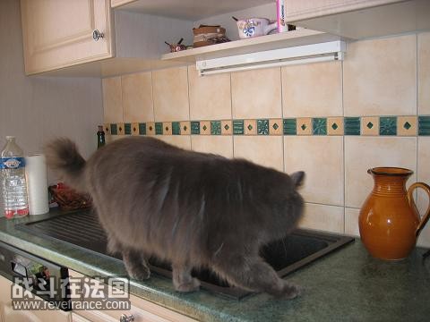 阿毛4.JPG