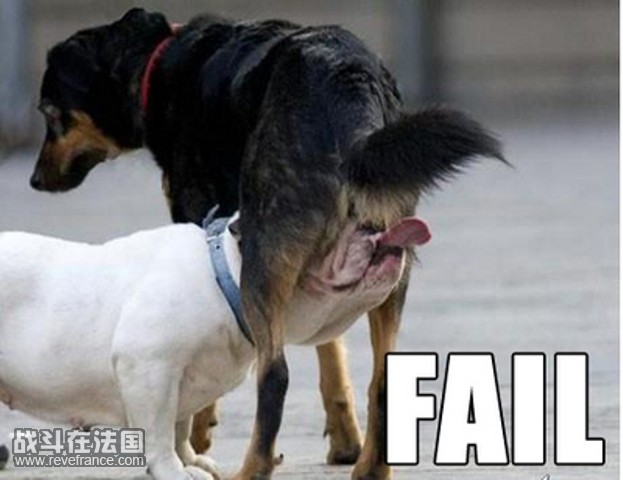 016_fail[1].jpg
