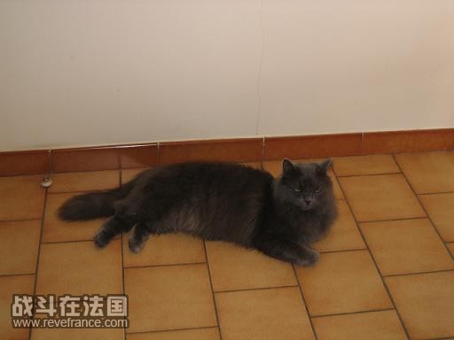 阿毛3.JPG