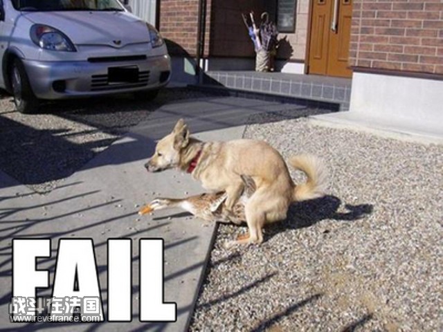 014_fail[1].jpg
