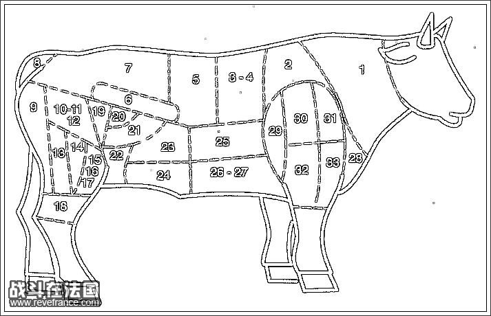 牛各部位分解图.jpg