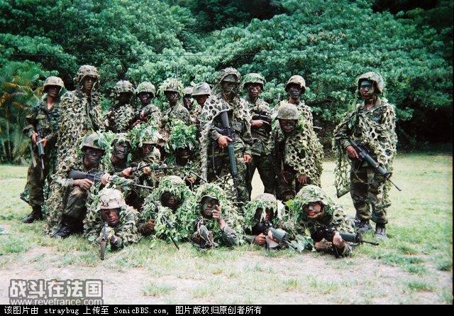 4_703444.jpg