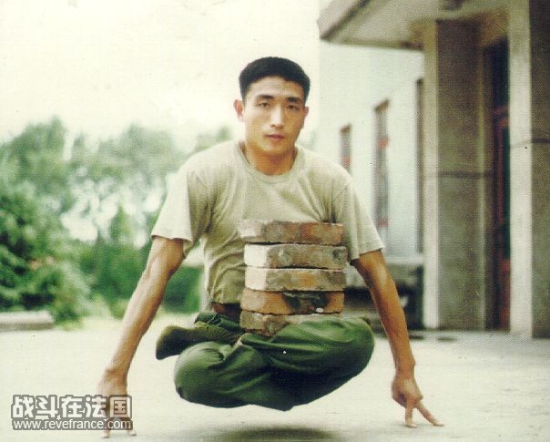 pla6.jpg