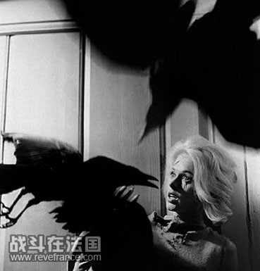 群鸟.jpg