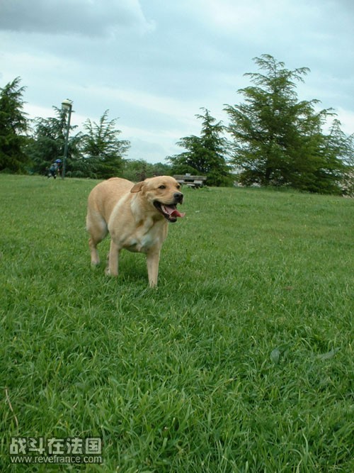 DSCF0025.jpg
