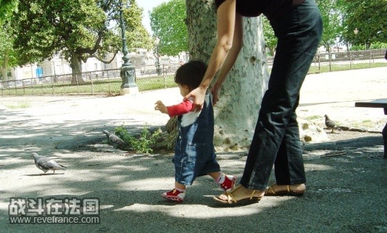 鸽子，你慢点跑