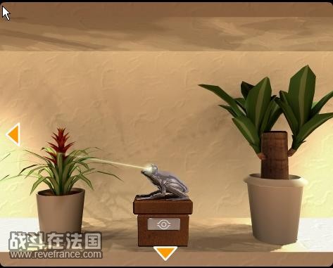 蛤蟆的摆放.jpg