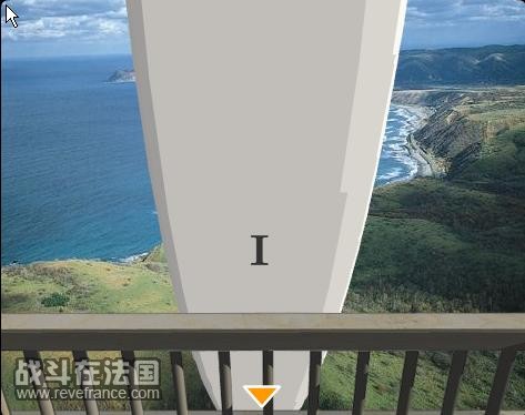 叶片上.jpg