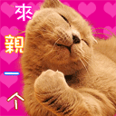 15.gif