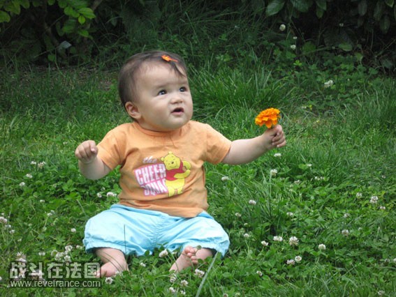 丫,天上掉下个..花花...