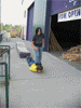 4.gif