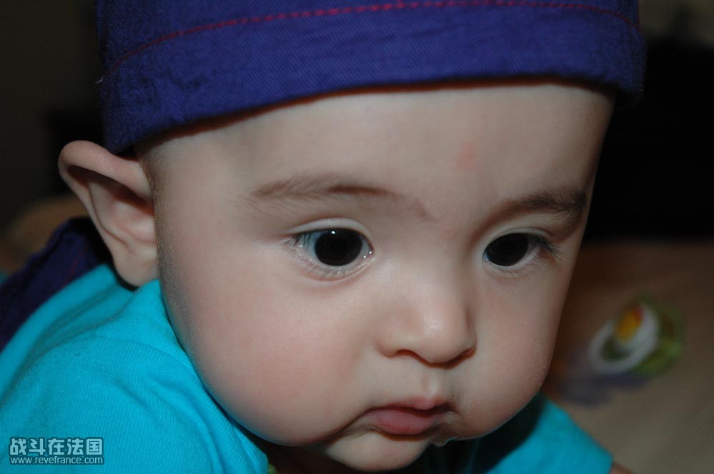 DSC_5767.jpg