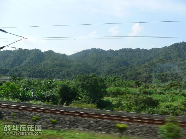 P1060516(1).JPG