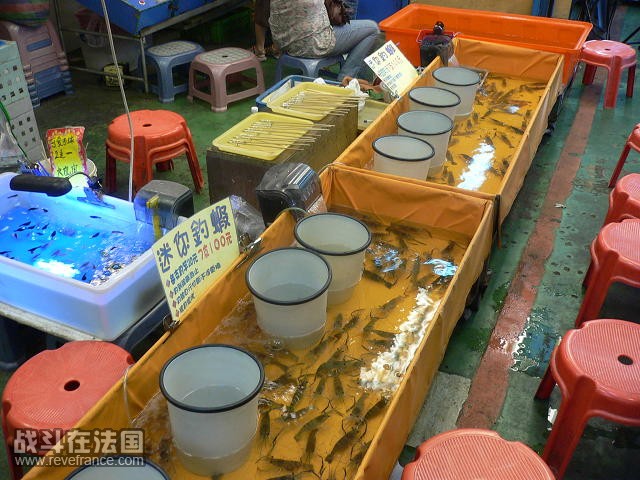 P1060503(1).JPG