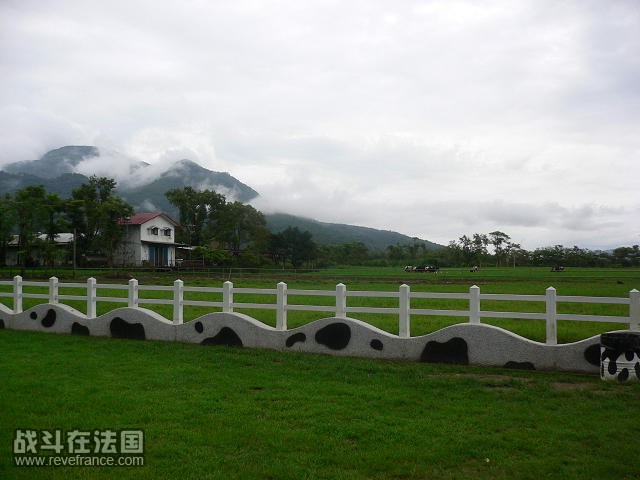 P1060581(1).JPG