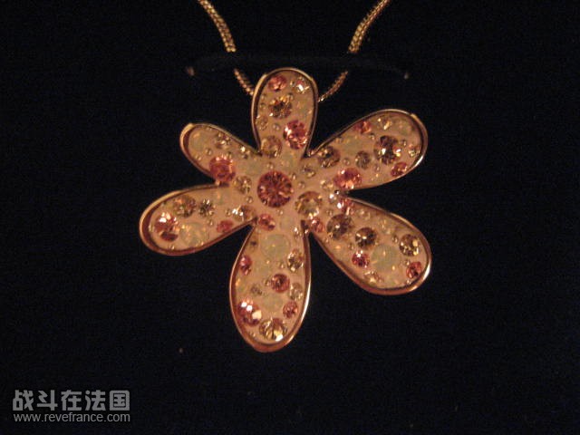 照片 323.jpg