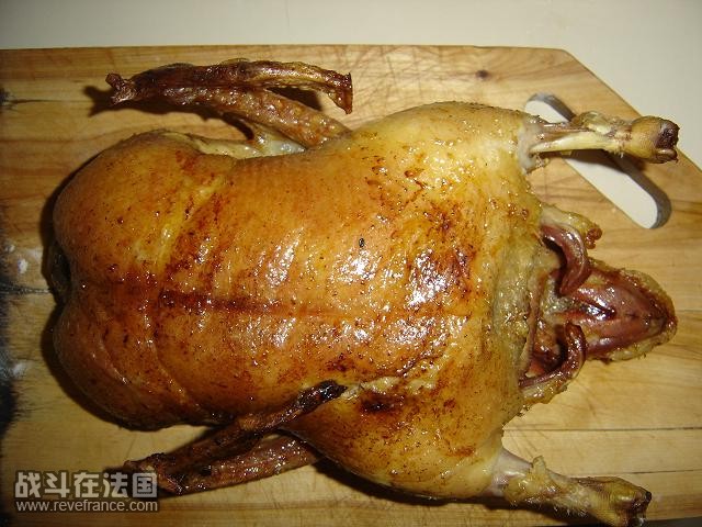 DSC00384.JPG