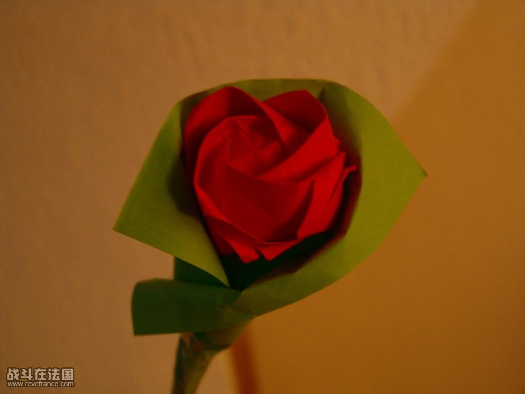 DSC09741.JPG