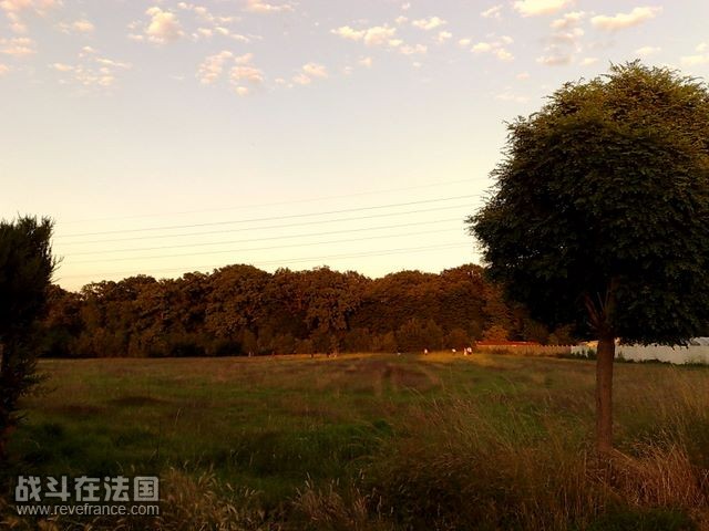 (10)童年记忆.jpg
