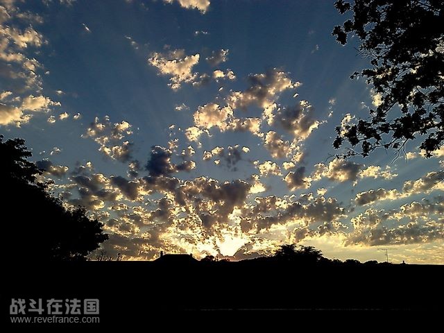 (9)光之翼.jpg