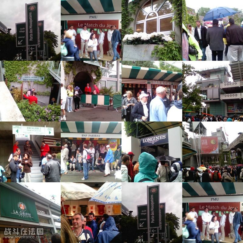 collage17.jpg