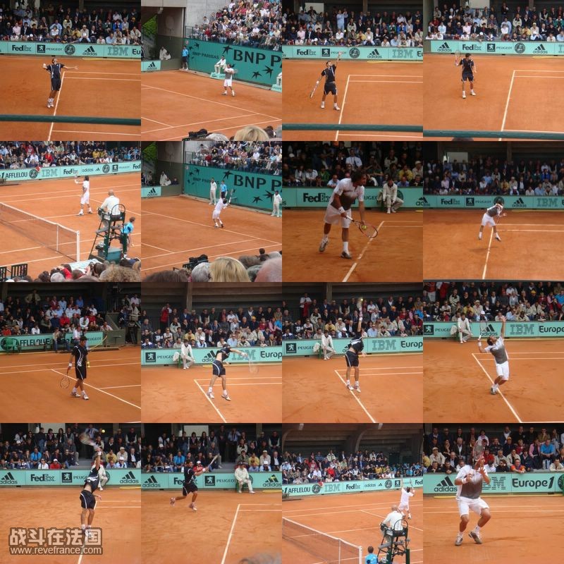 collage18.jpg