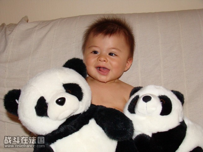 我爱熊猫