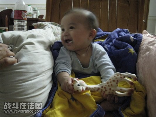 笑得歪歪的猪