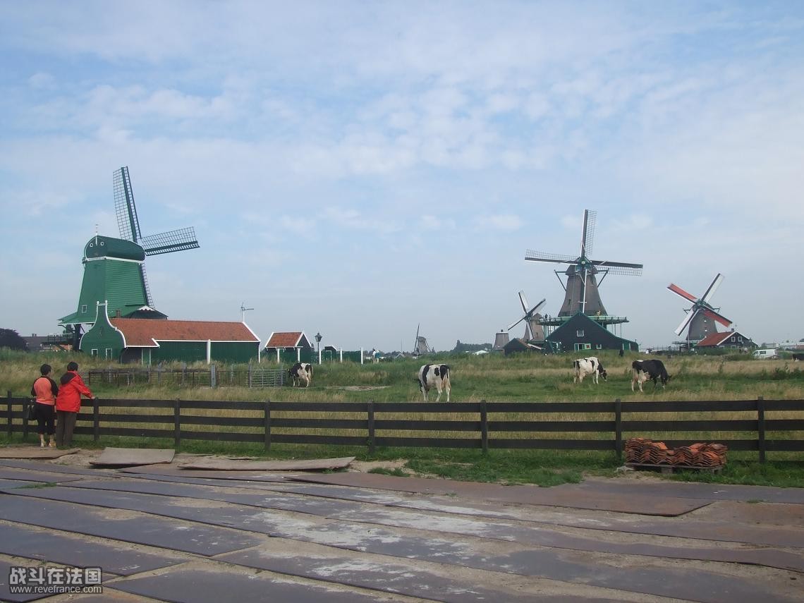 DSCF5995.JPG
