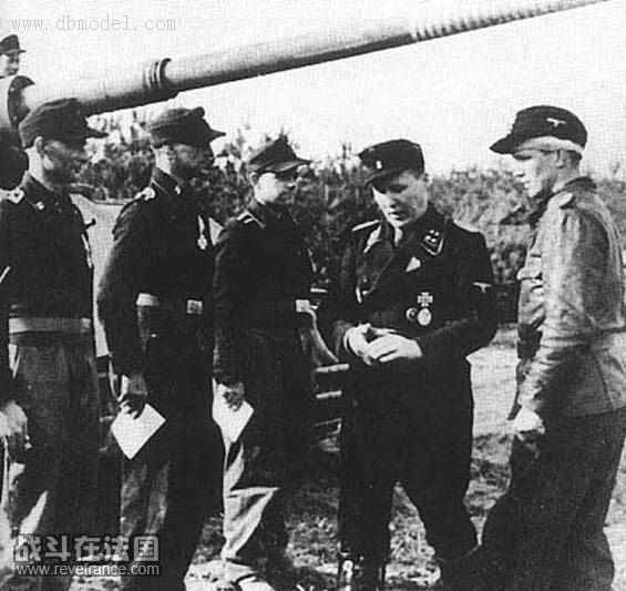 虎王和他的成员们2.jpg