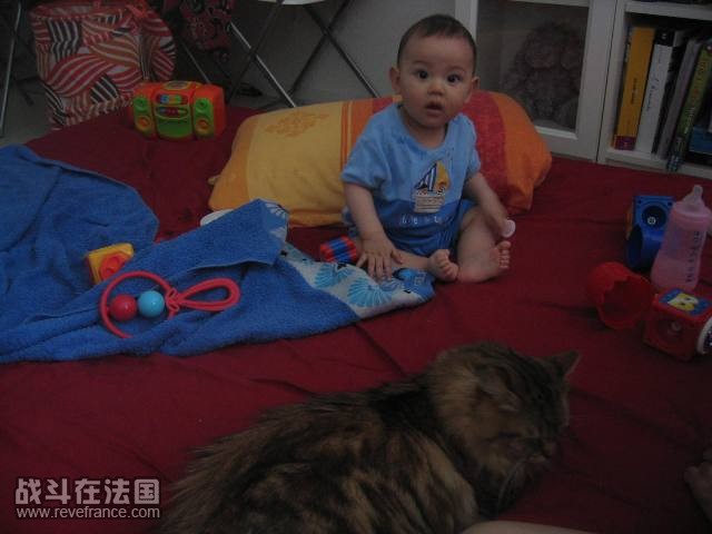 电眼和猫.JPG
