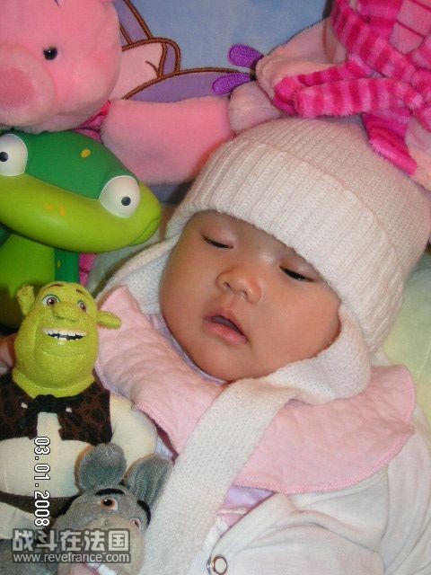 PICT0591.JPG