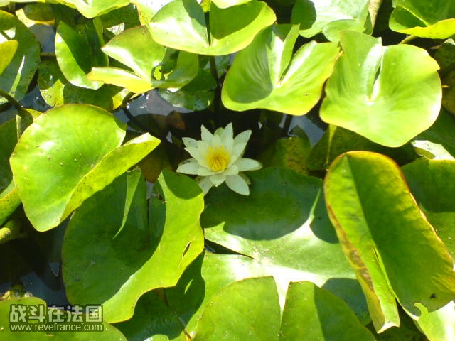 DSC00505.JPG