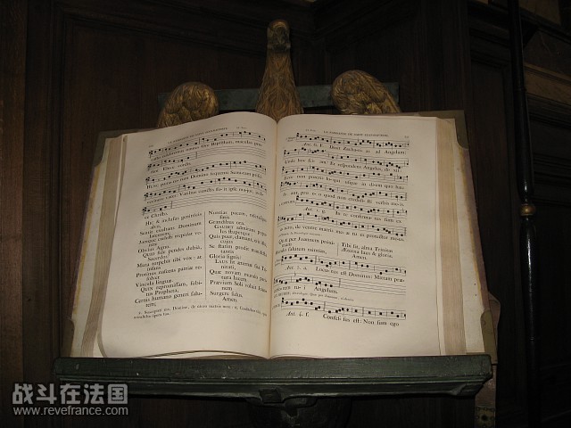 imgIMG_1169.jpg