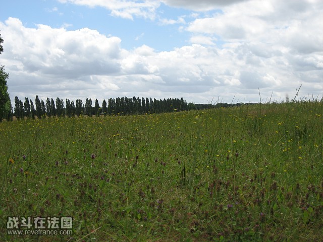 imgIMG_1145.jpg