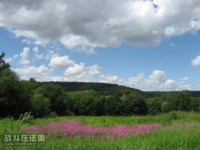 imgIMG_1173.jpg
