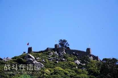 IMG_5221.jpg