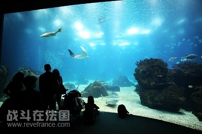 IMG_6542.jpg