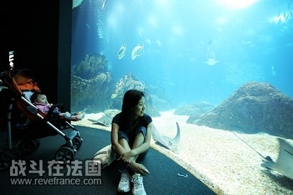 IMG_6533.jpg