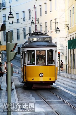 IMG_5004.jpg