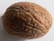 180px-Nutmeg_p1160003.jpg