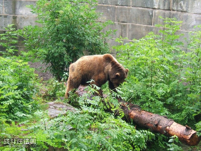 DSCF4435.JPG