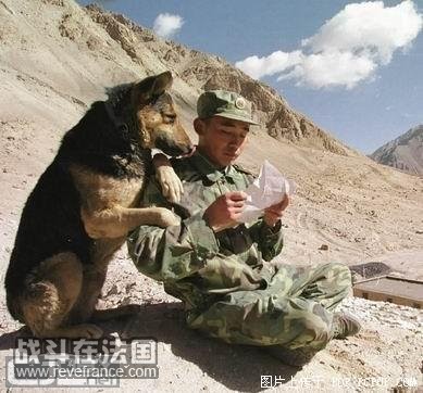 20070517_d2c89b6718ec59dfb7e27octf9cxZaSZ.jpg