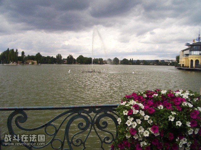LAC岸边