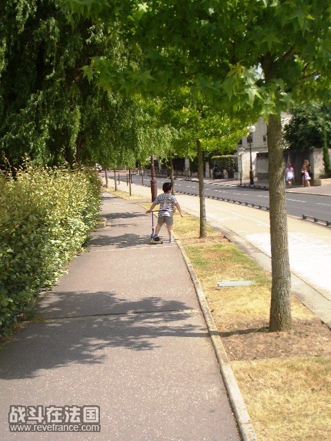 CIMG8656.JPG