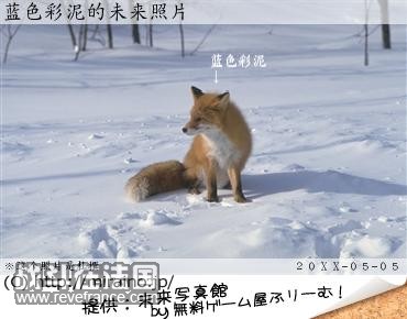 mirai.jpg