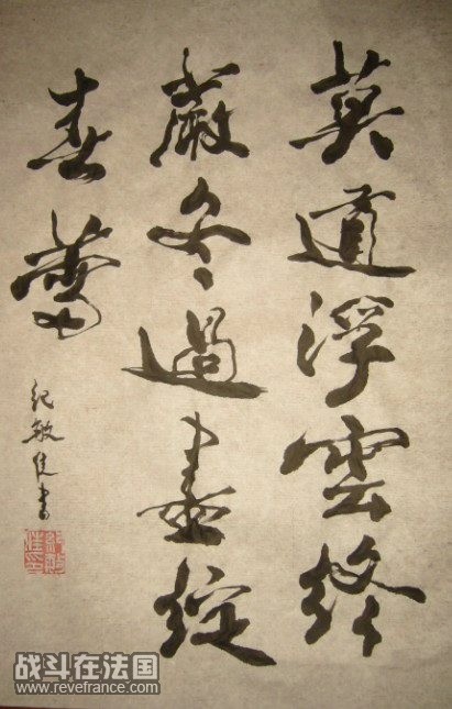9314066_18180546.jpg
